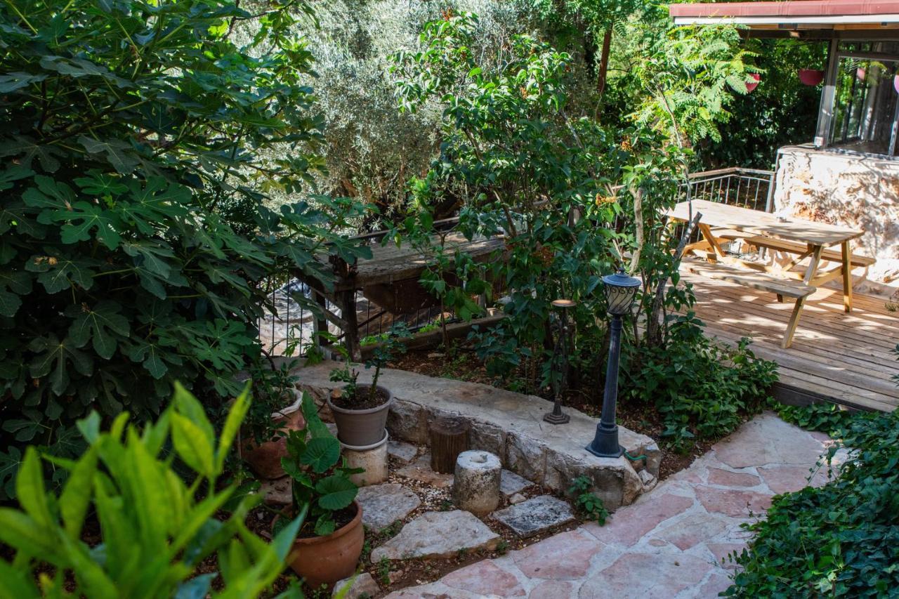 Harmony Inn Safed Extérieur photo