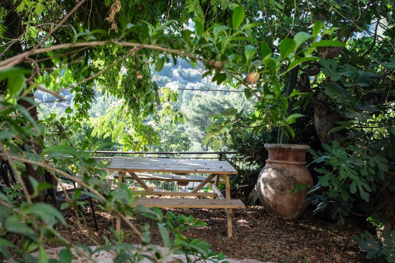 Harmony Inn Safed Extérieur photo